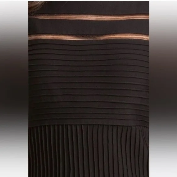 Tadashi Shoji Fit & Flare Sleeveless Illusion Stripes Dress in Black, sz Med Pet - Picture 5 of 16